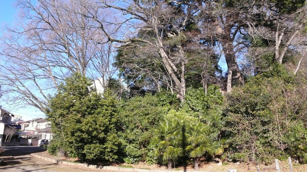 s-P1590797