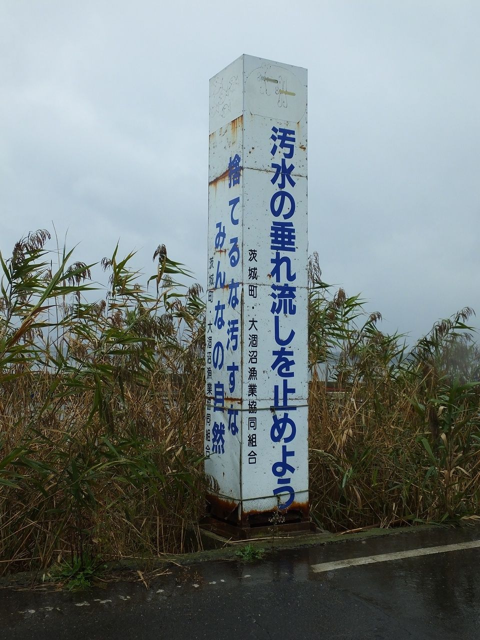 s-DSCF5510