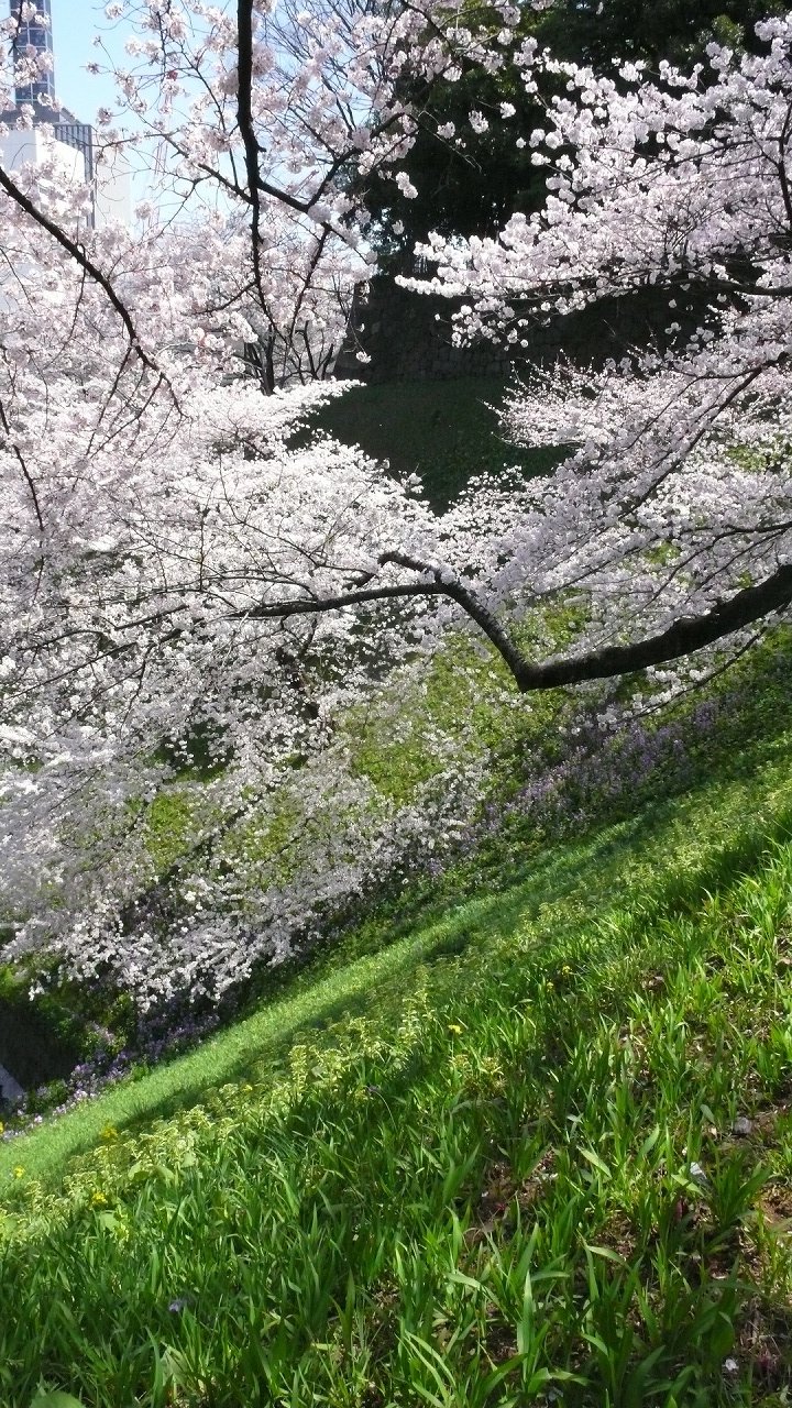 s-P1620055