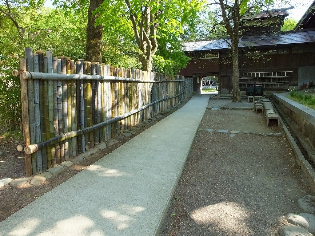 s-DSCF0474