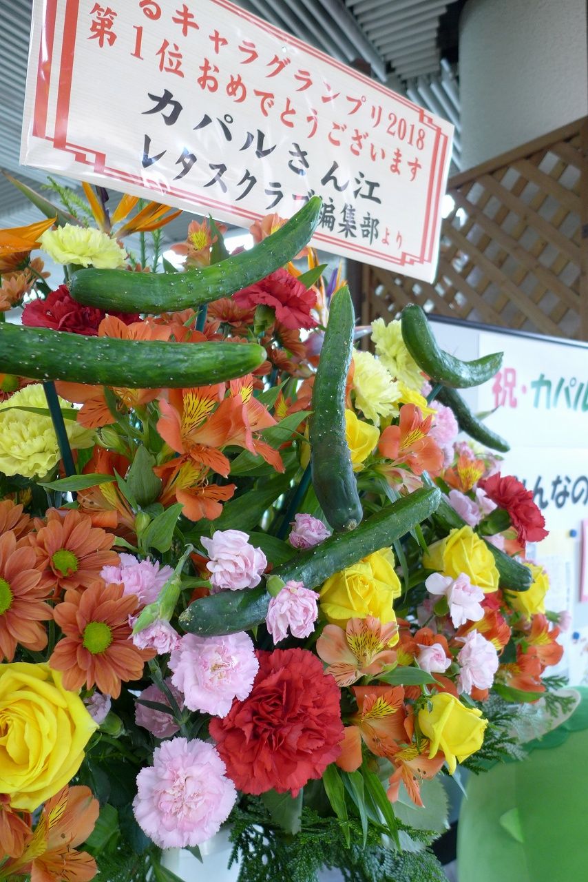 s-P1000523