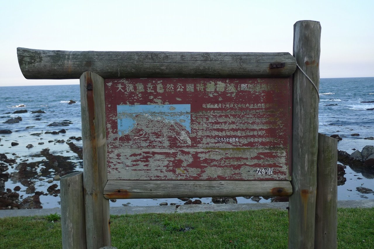 s-P1350784