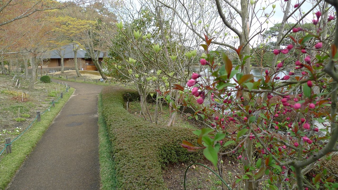 s-P1170160