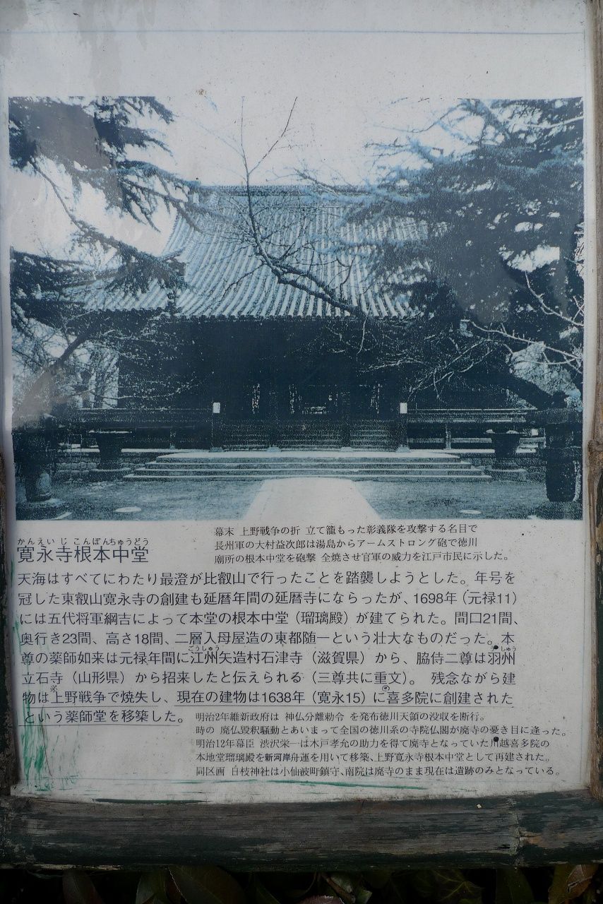 s-P1300559