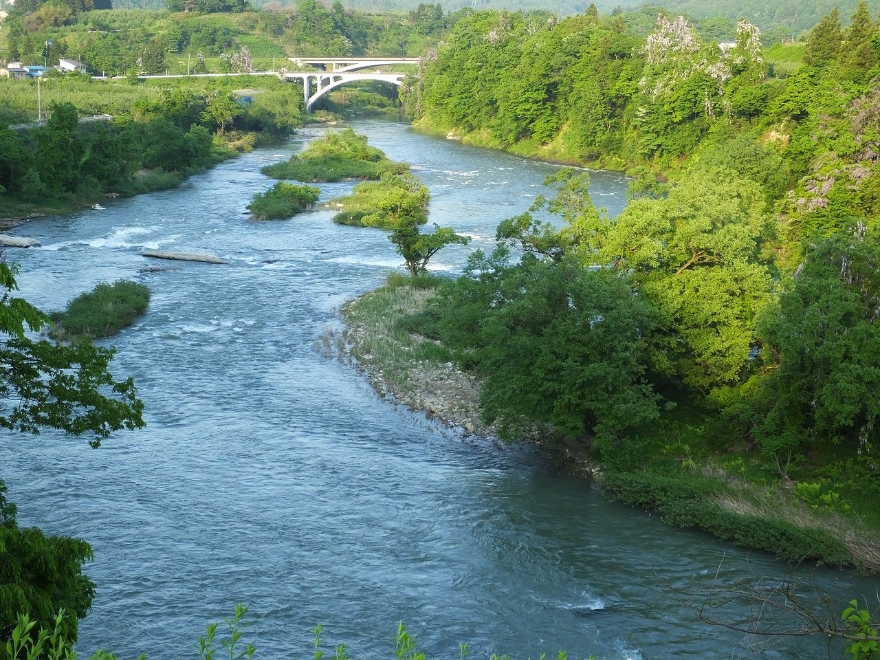 s-DSCF8122