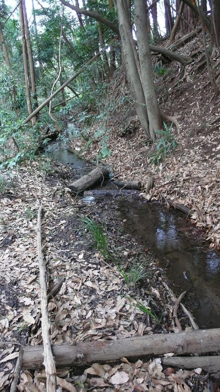 s-P1620833