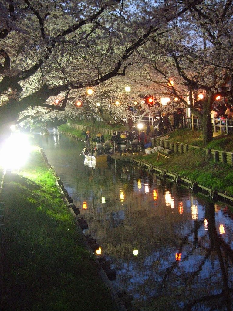 Àî±Û¡¦½Õ¤Î¿·²Ï´ßÀî¤Î½®Í·¤Ó¡Ê2012¡Ë