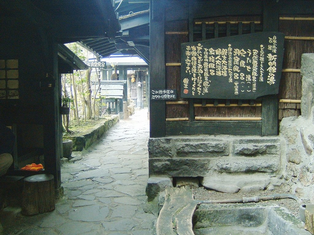 ¹õÀî²¹Àô¡Ê·§ËÜ¡¦°¤ÁÉ¡Ë2005ǯ3·î13Æü