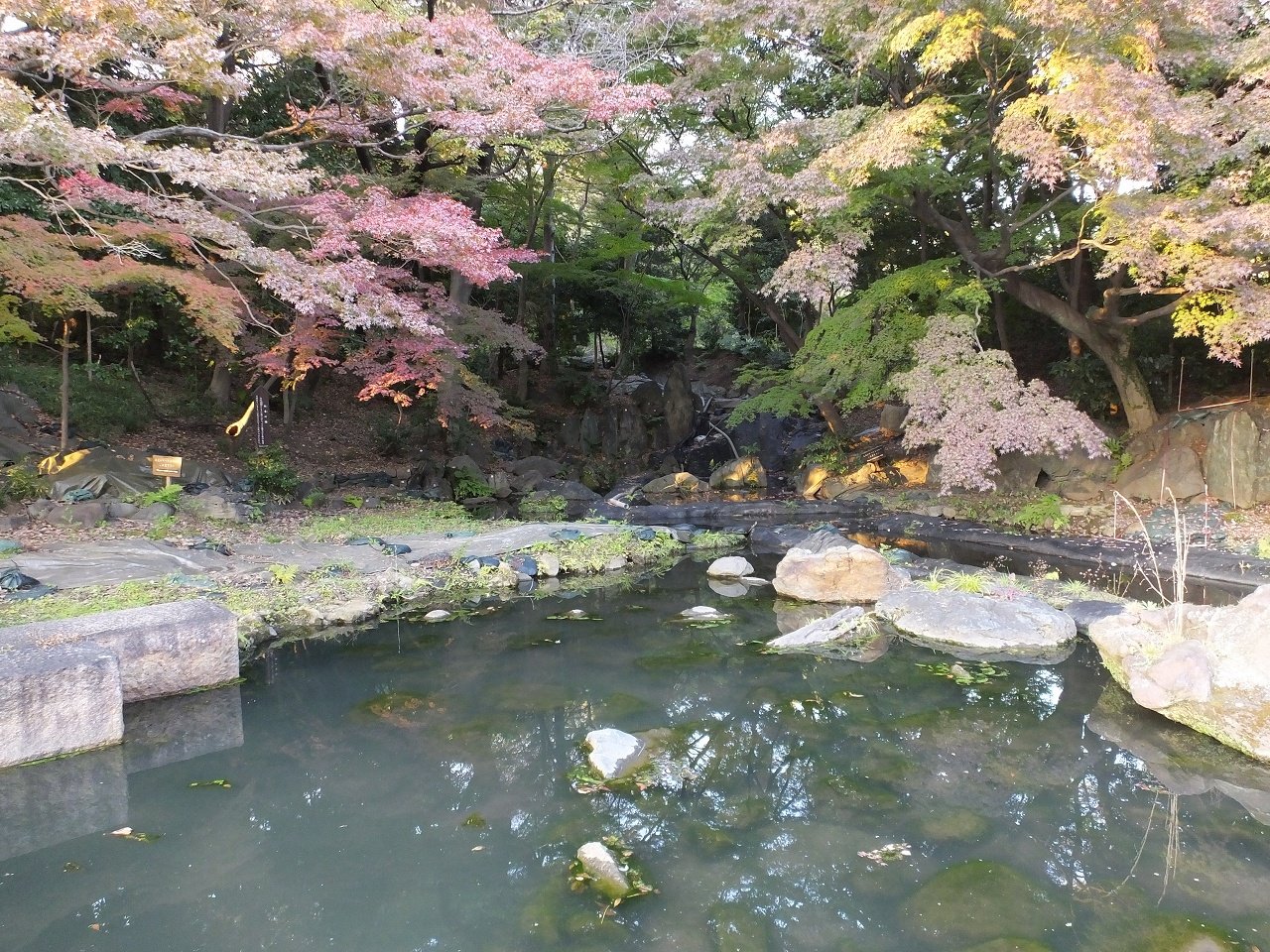 s-DSCF2996