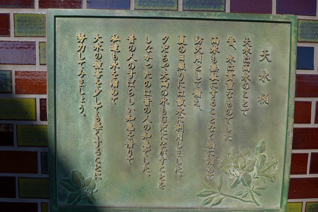 s-P1000466