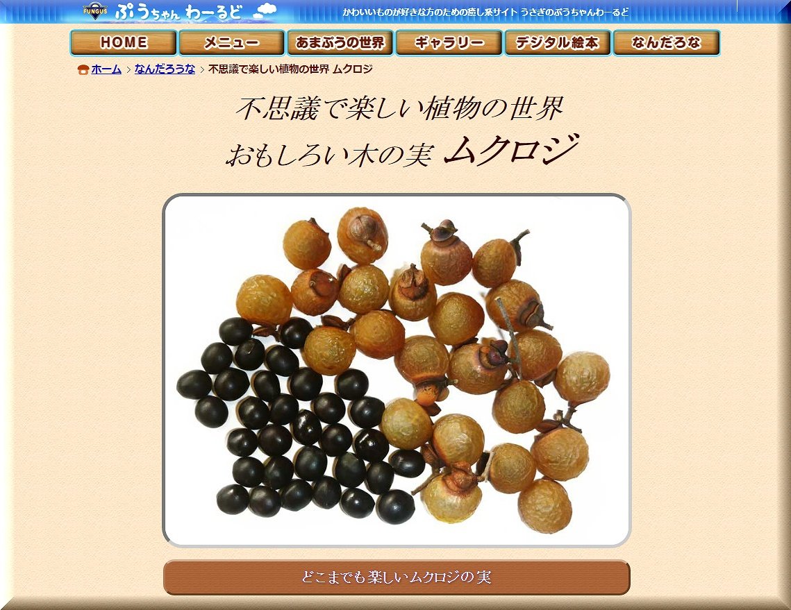 s-¥à¥¯¥í¥¸¡