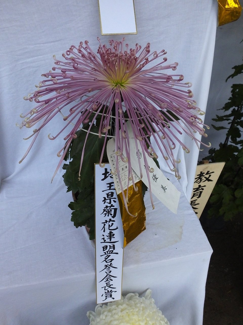 s-DSCF1032