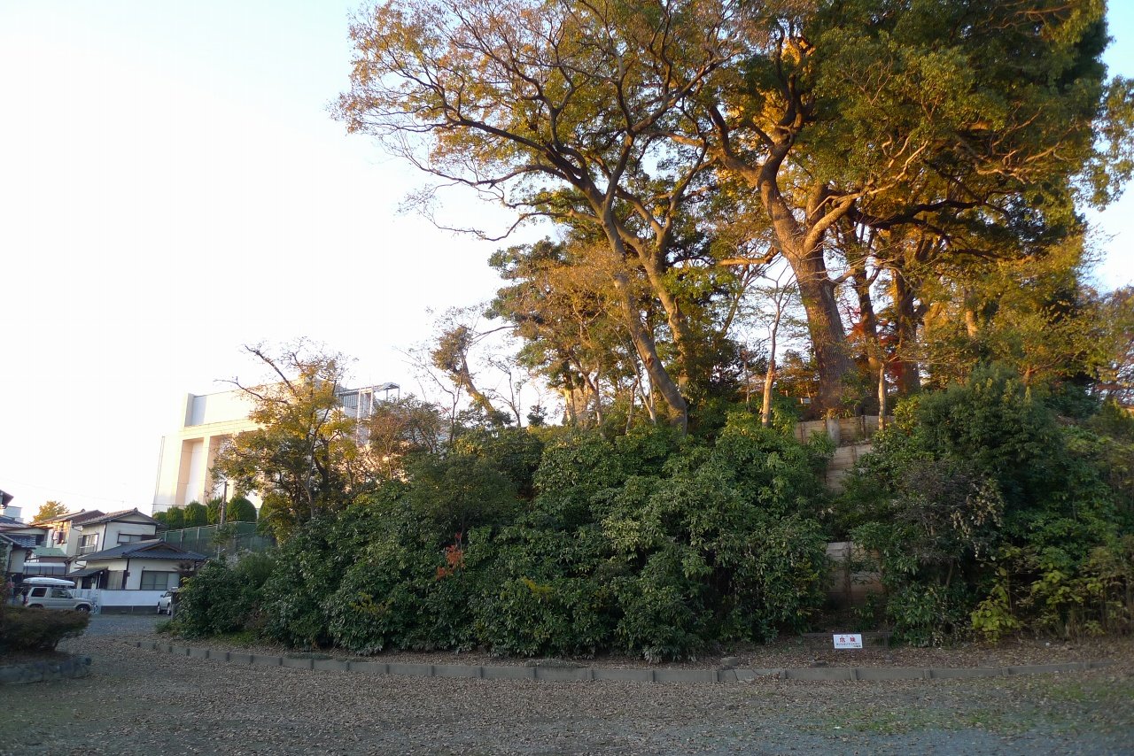 s-P1450194