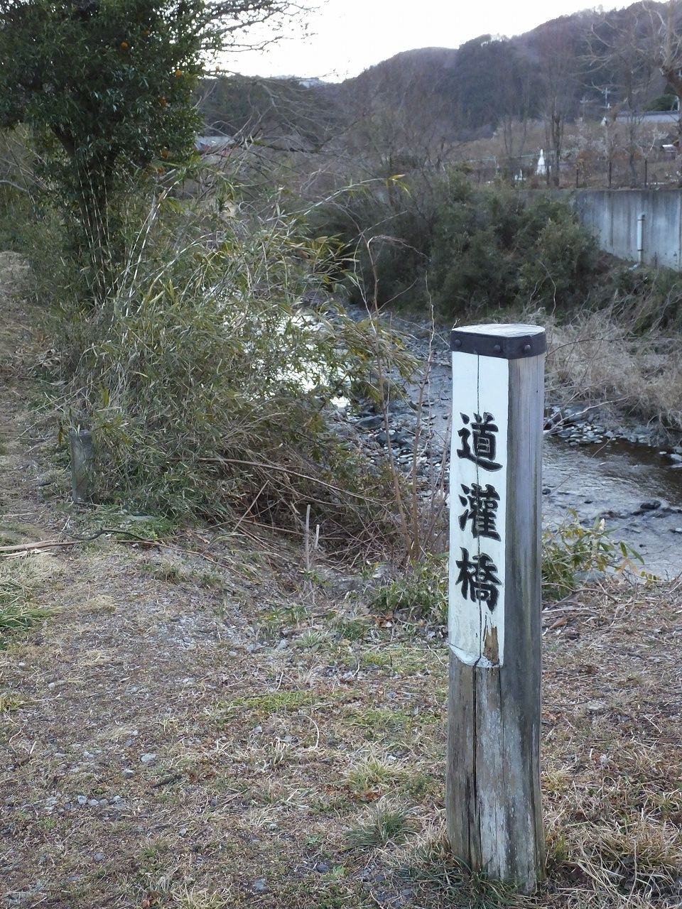 s-DSCF6267
