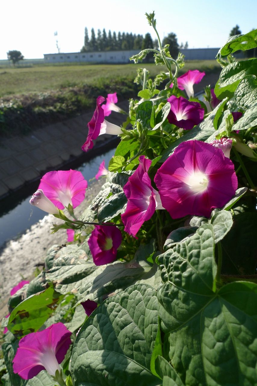 s-P1420505