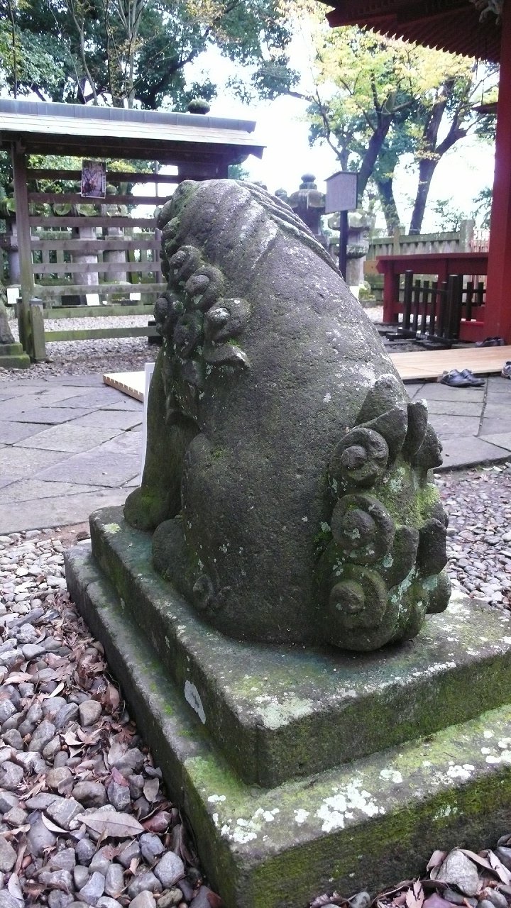 s-P1720626