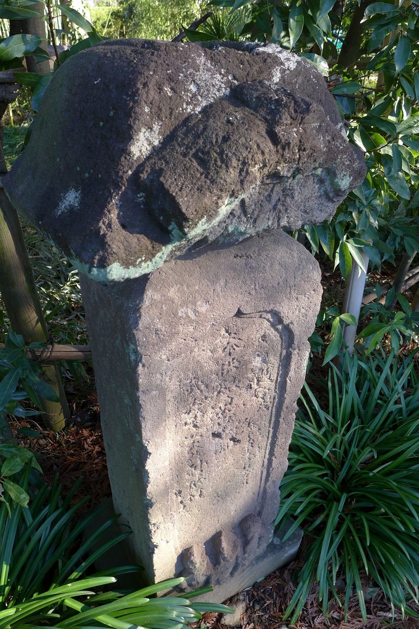 s-P1020423
