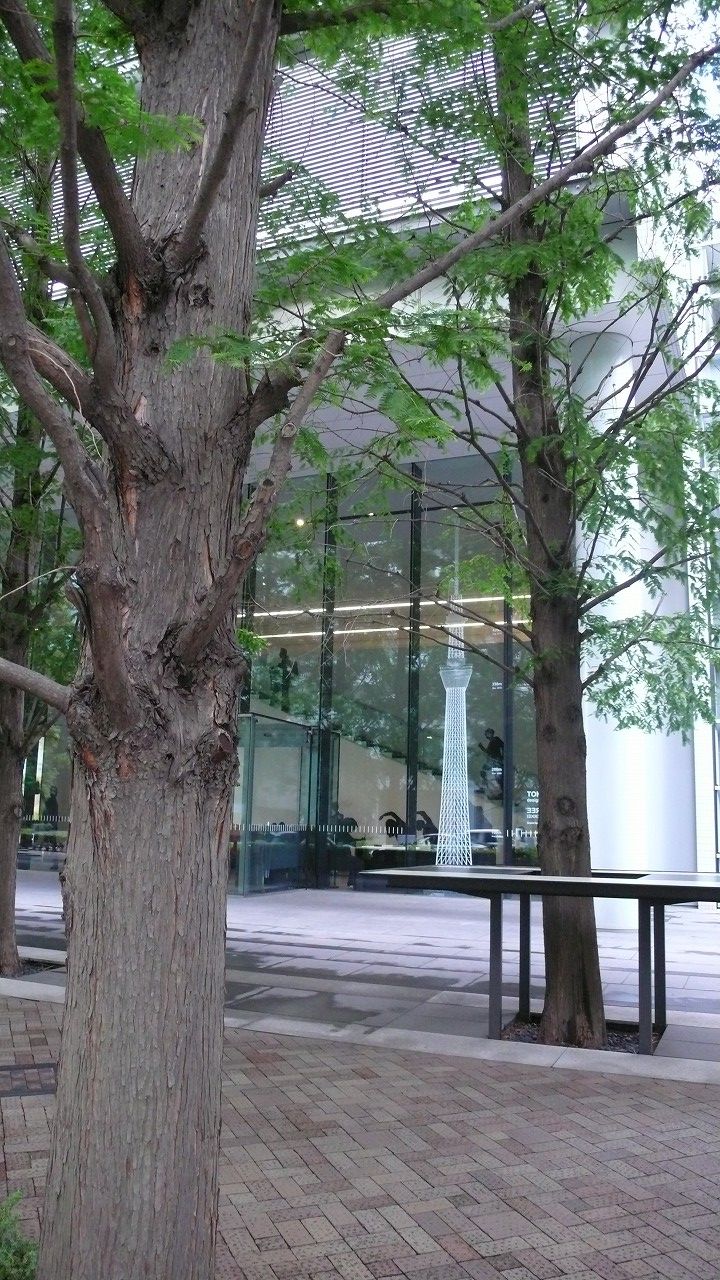 s-P1520749