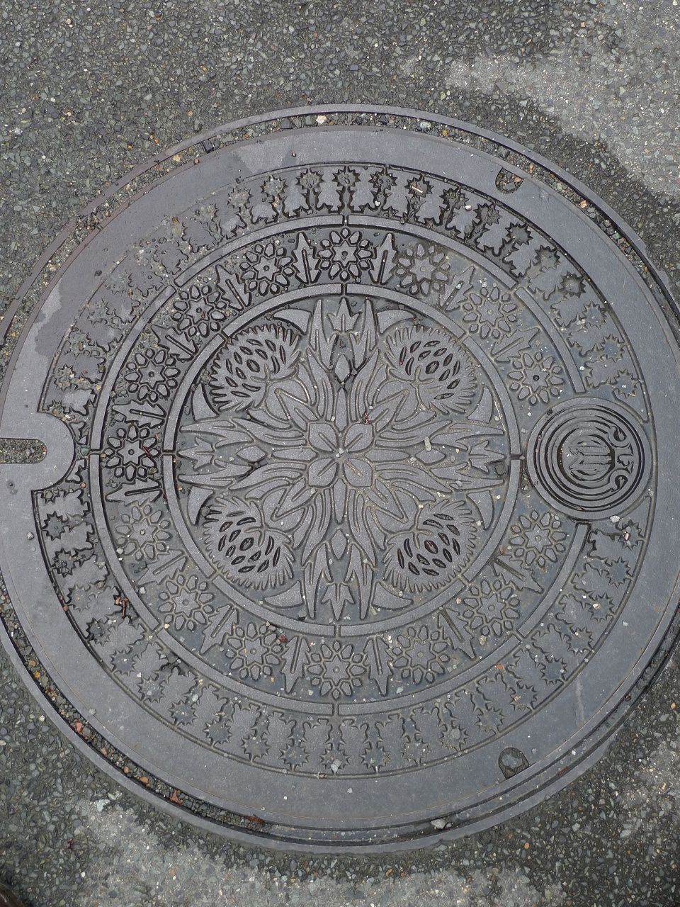 s-P1410895