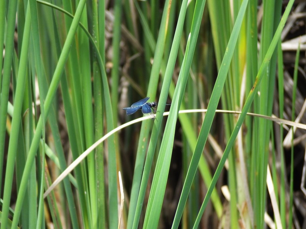 s-DSCF0770