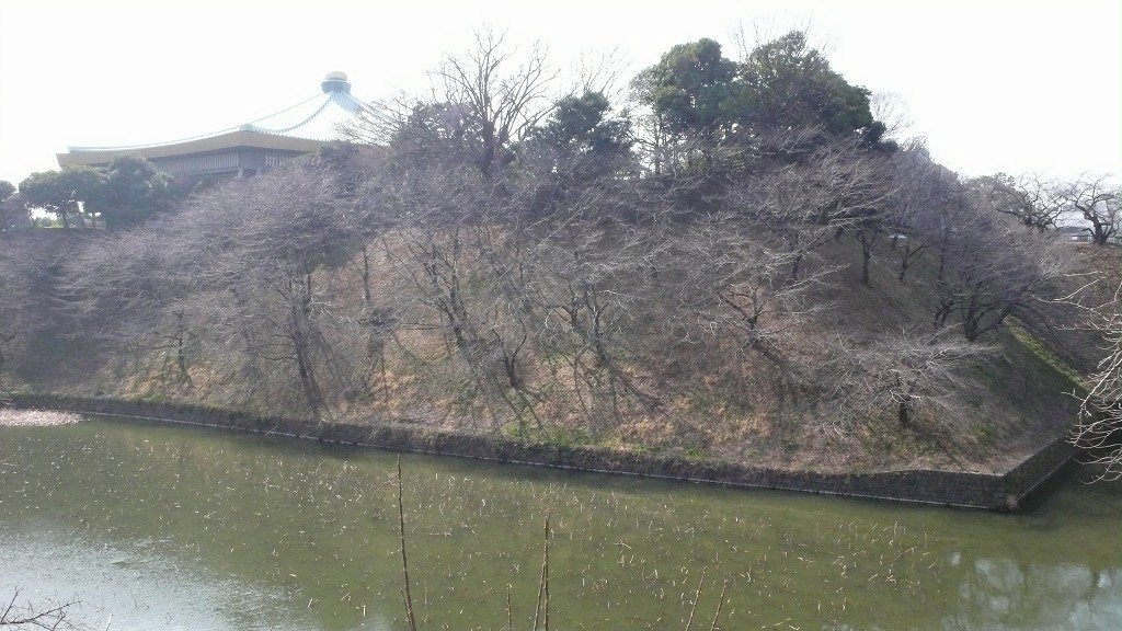 s-P1500197