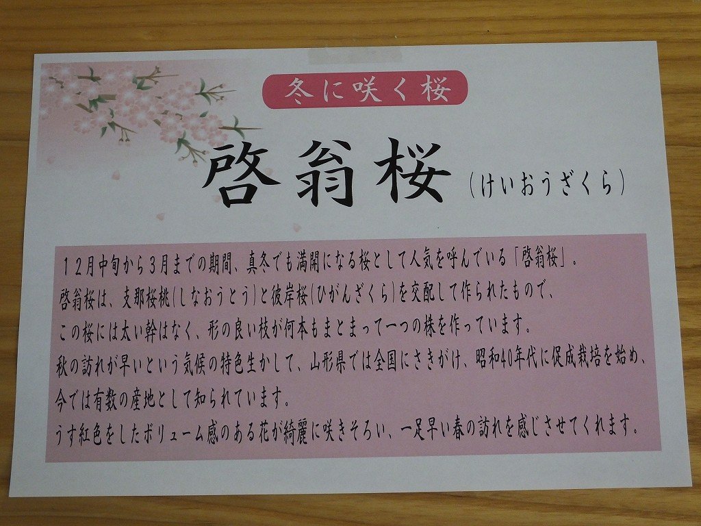 s-DSCF5693
