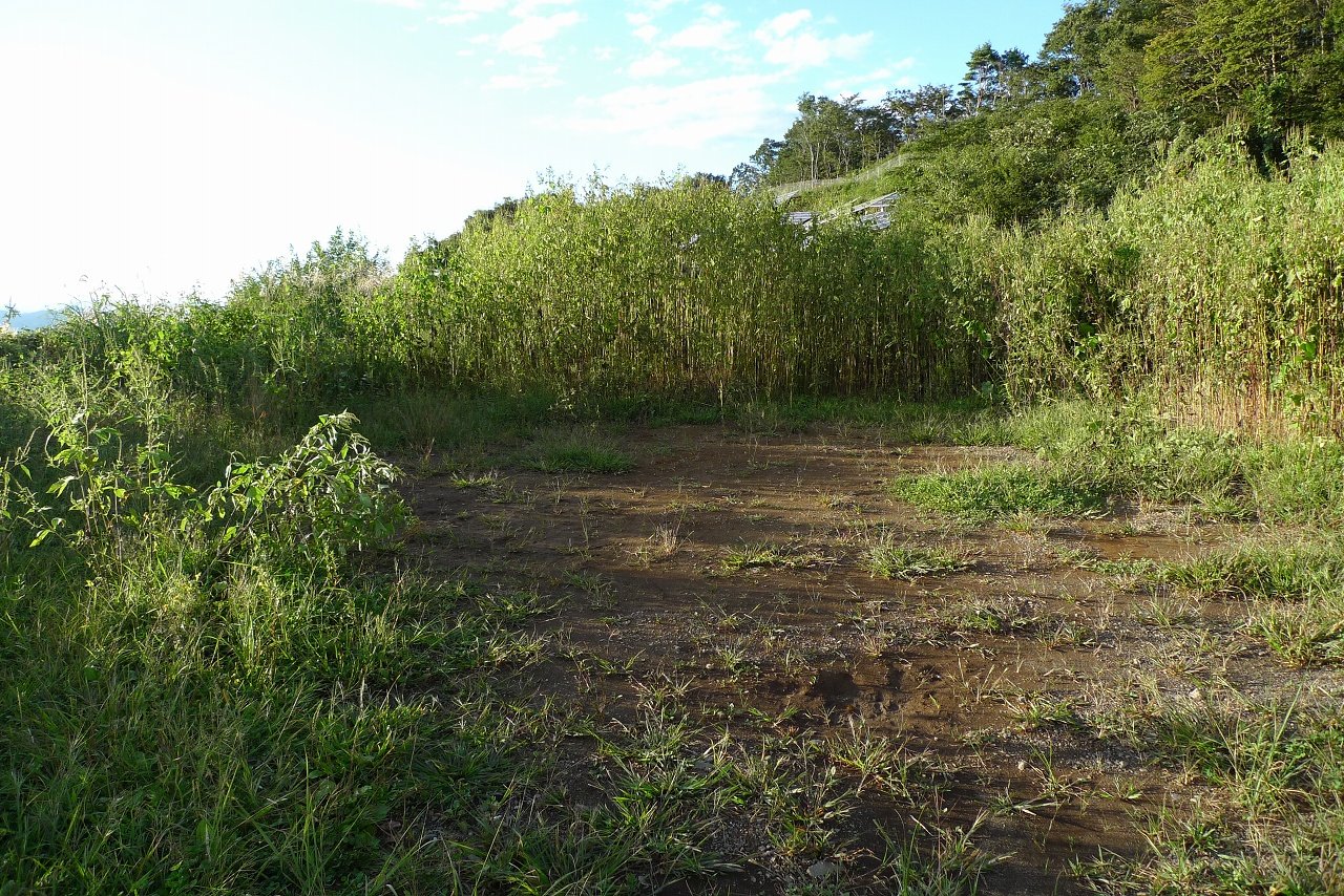 s-P1410641