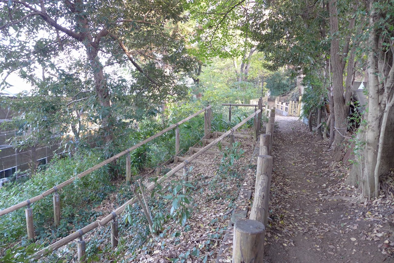 s-P1000562