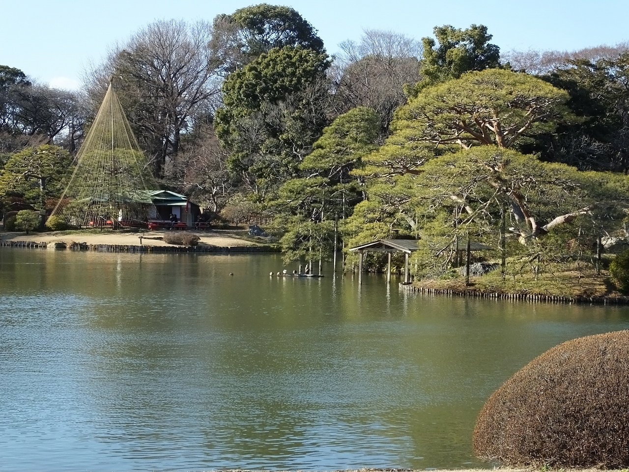 s-DSCF0752