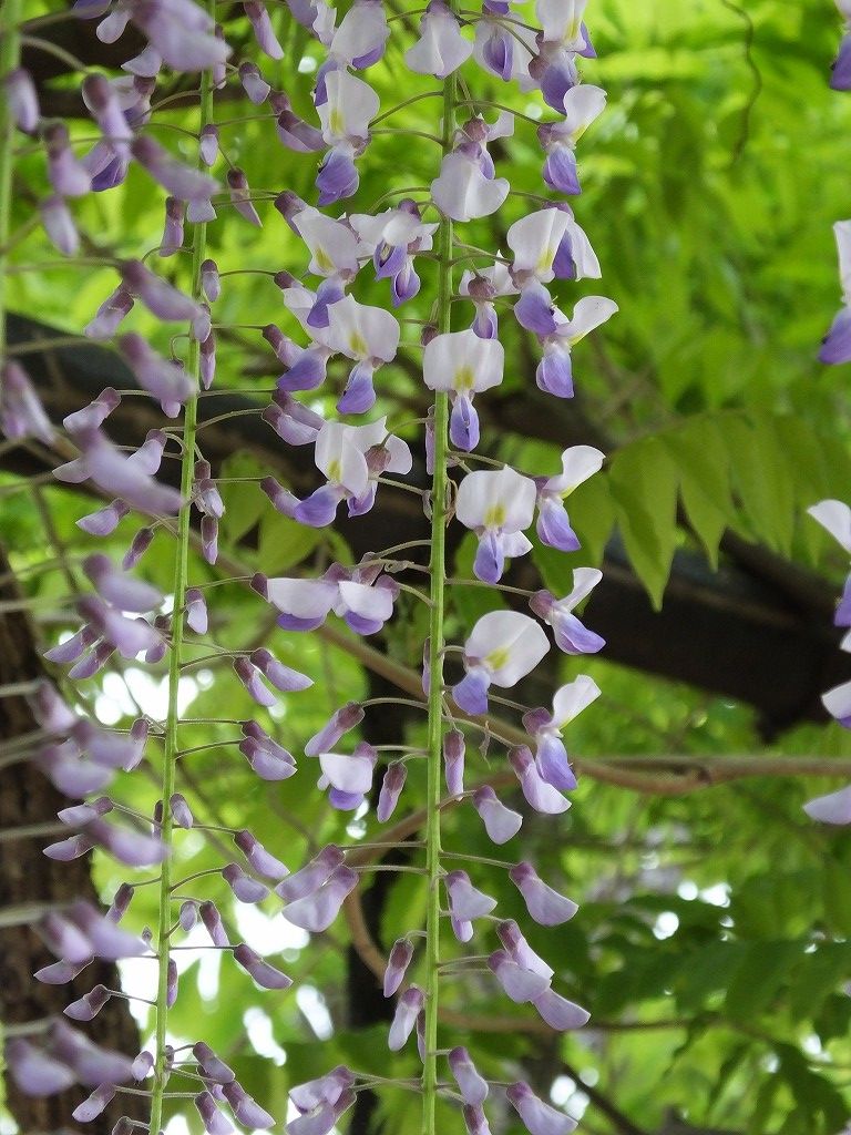 s-DSCF0322