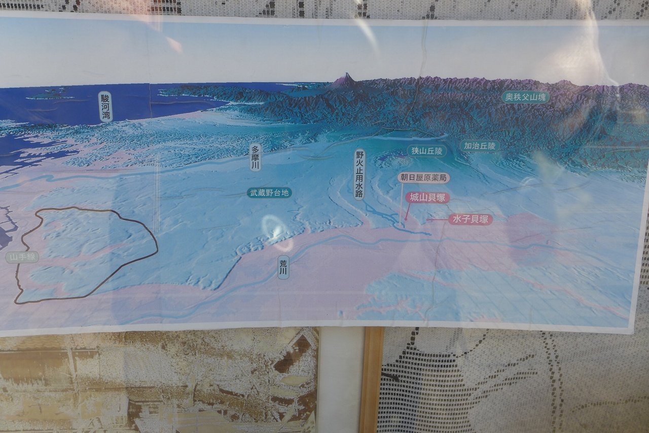 s-P1000502