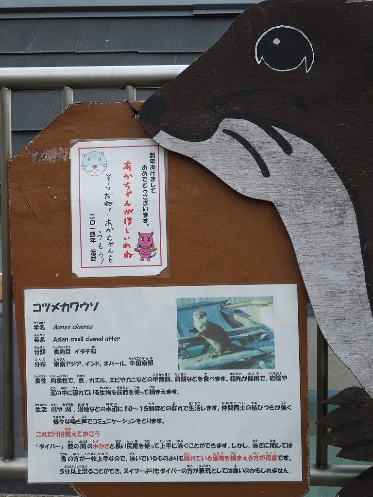 s-DSCF6566