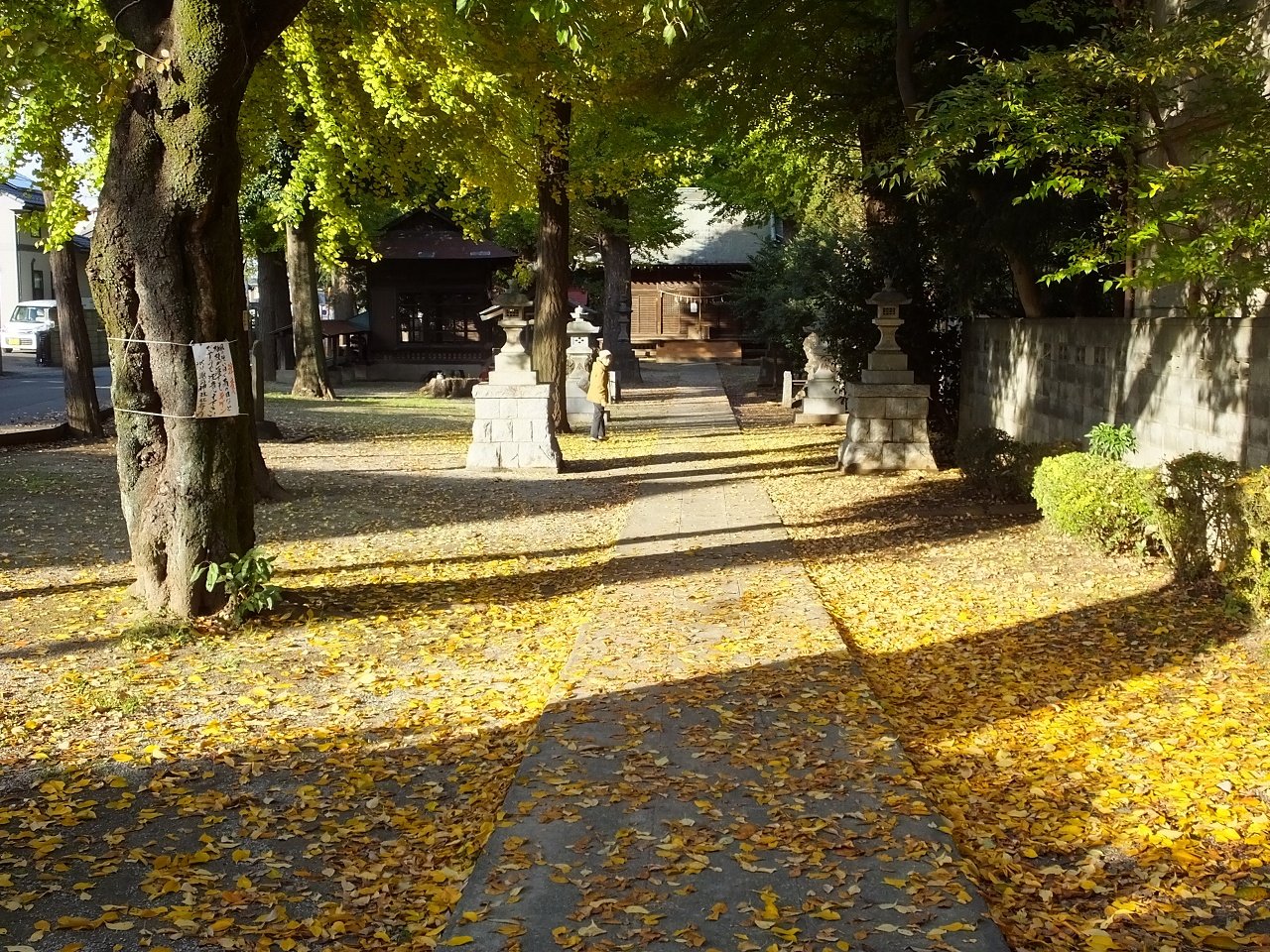 s-DSCF3350