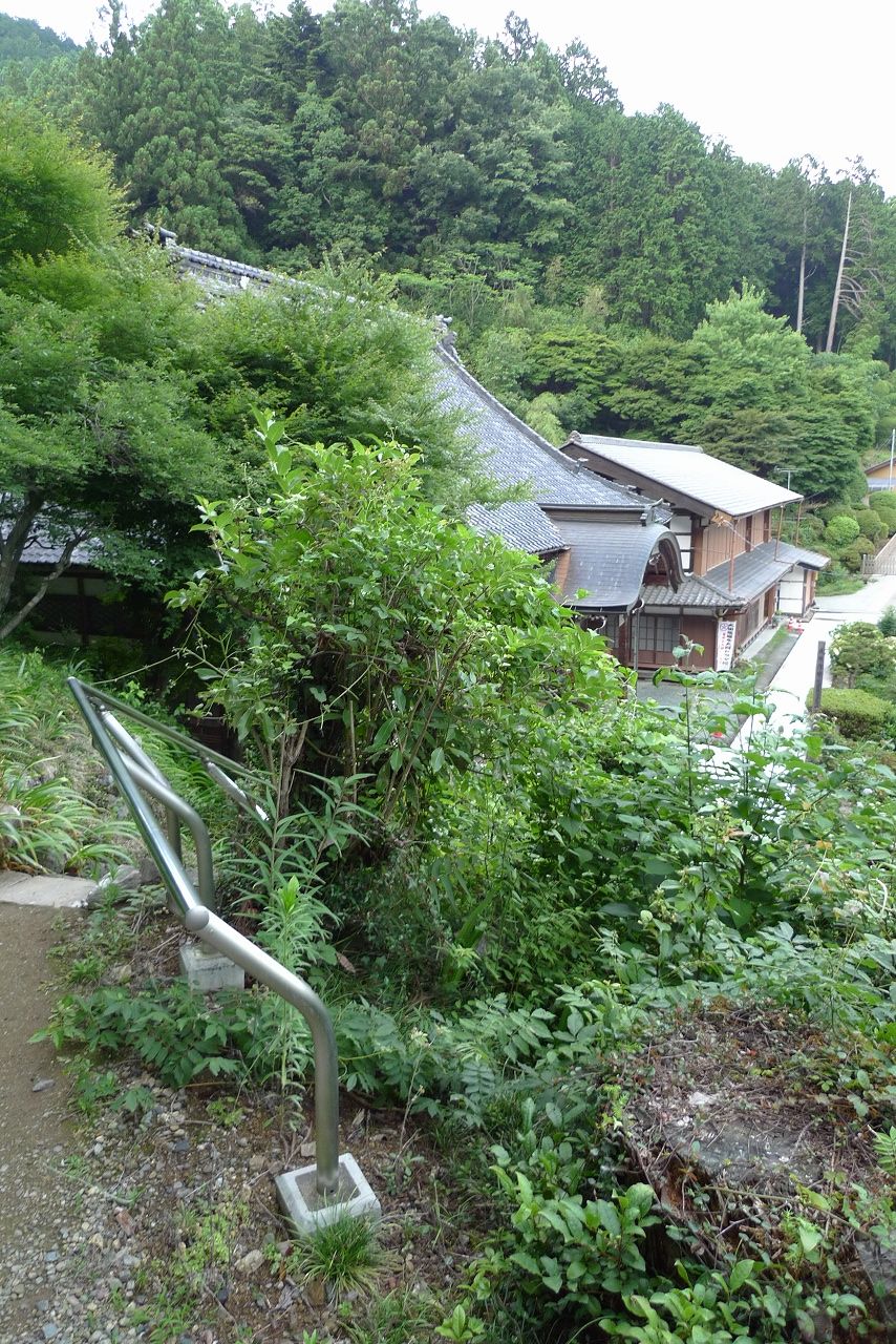 s-P1380005