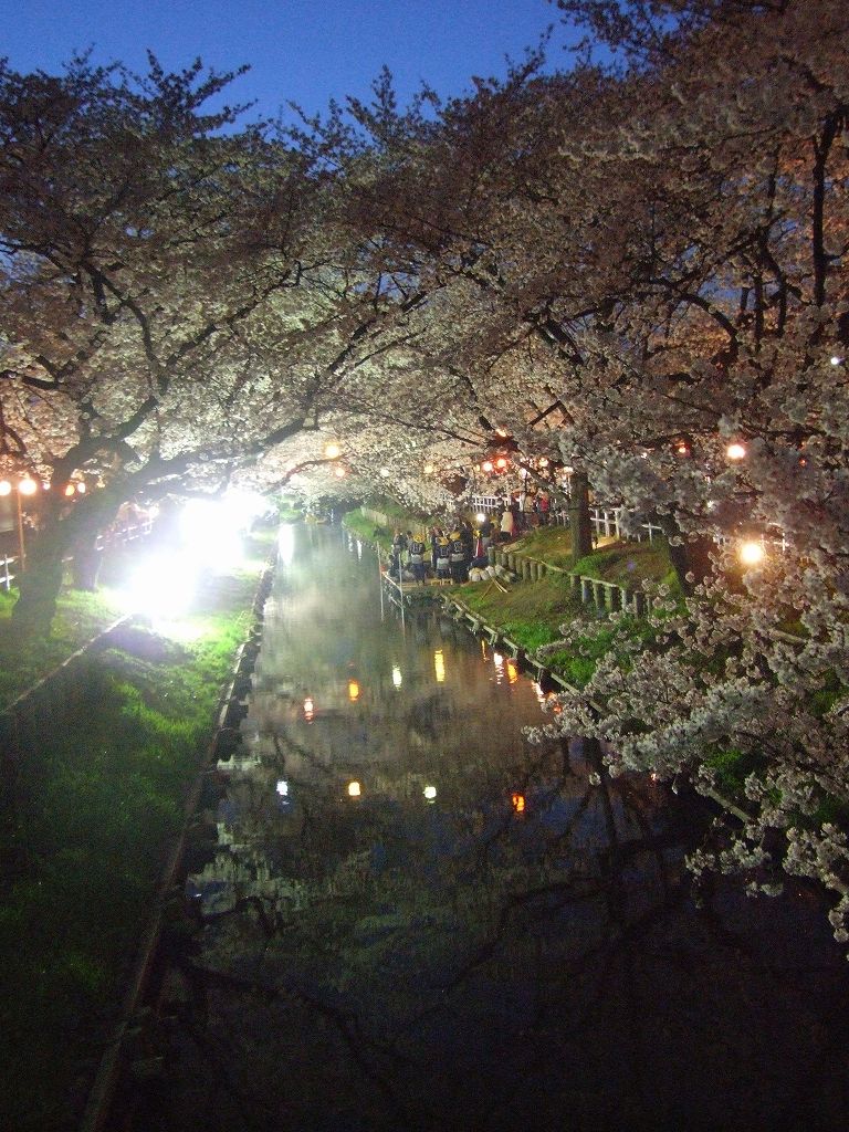 Àî±Û¡¦½Õ¤Î¿·²Ï´ßÀî¤Î½®Í·¤Ó¡Ê2012¡Ë