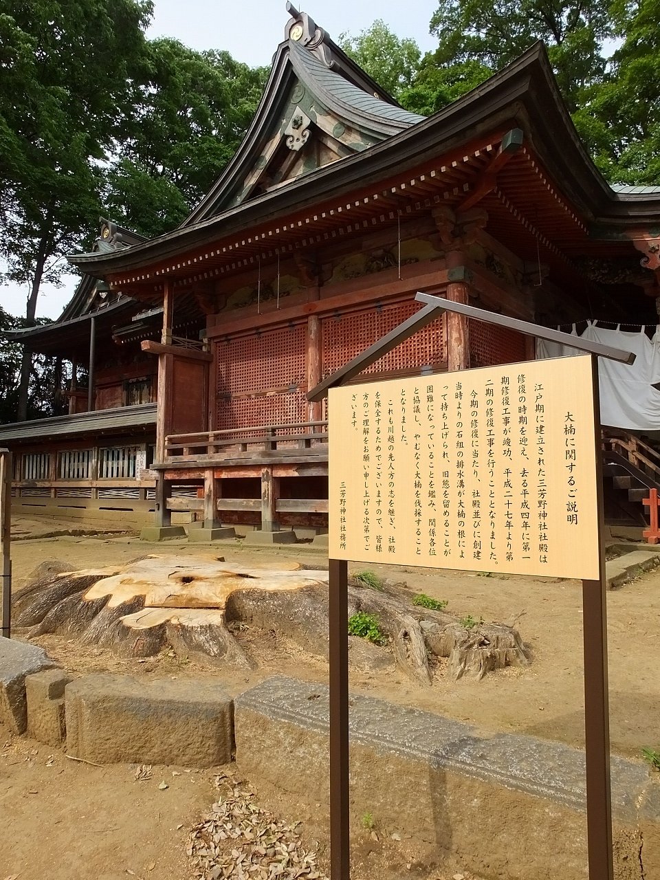 s-DSCF6713