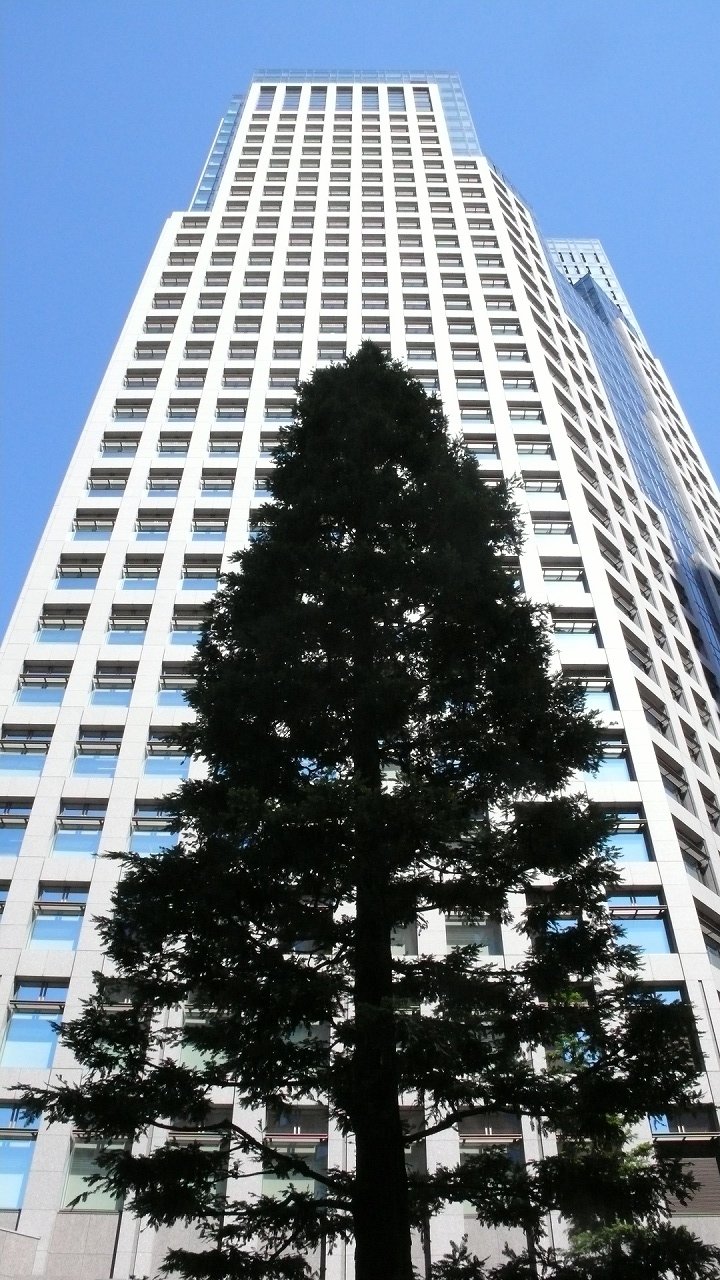 s-P1640727