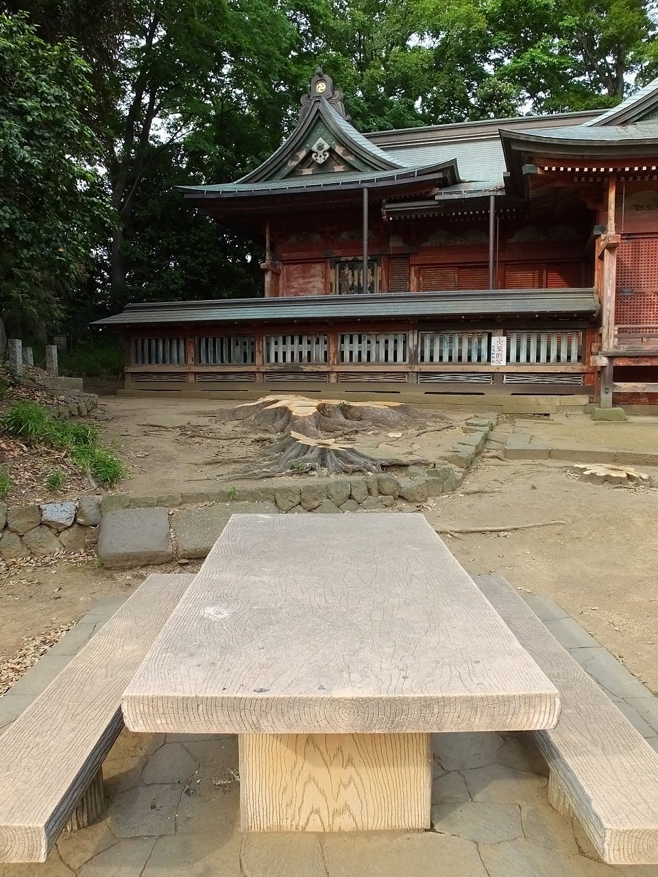 s-DSCF6810