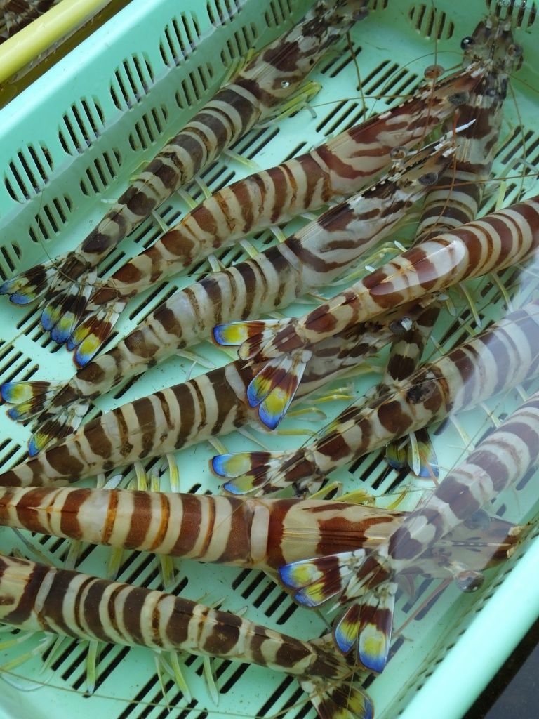 s-DSCF2185