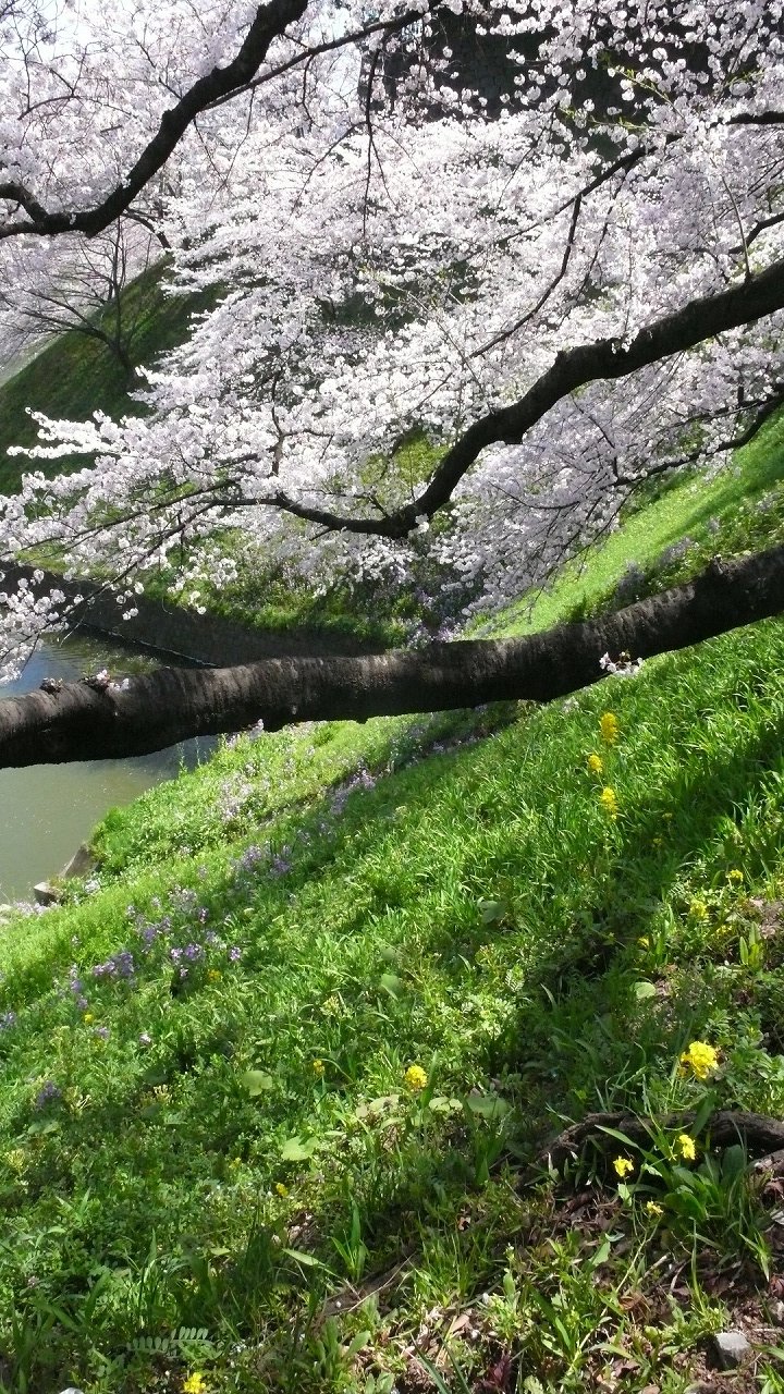s-P1620042