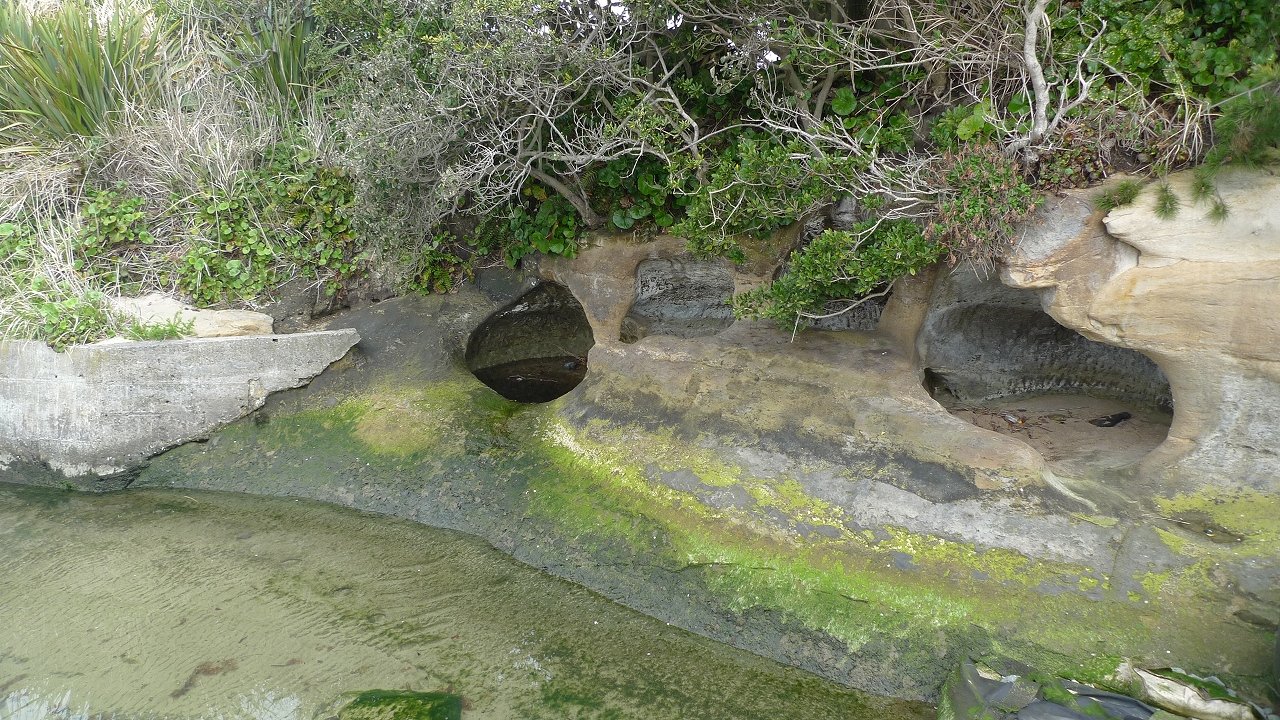 s-P1170263