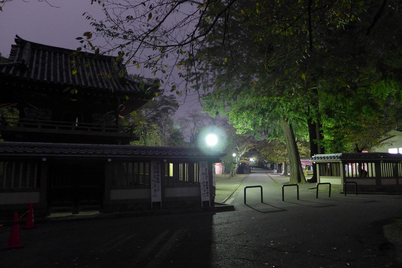 s-P1000224