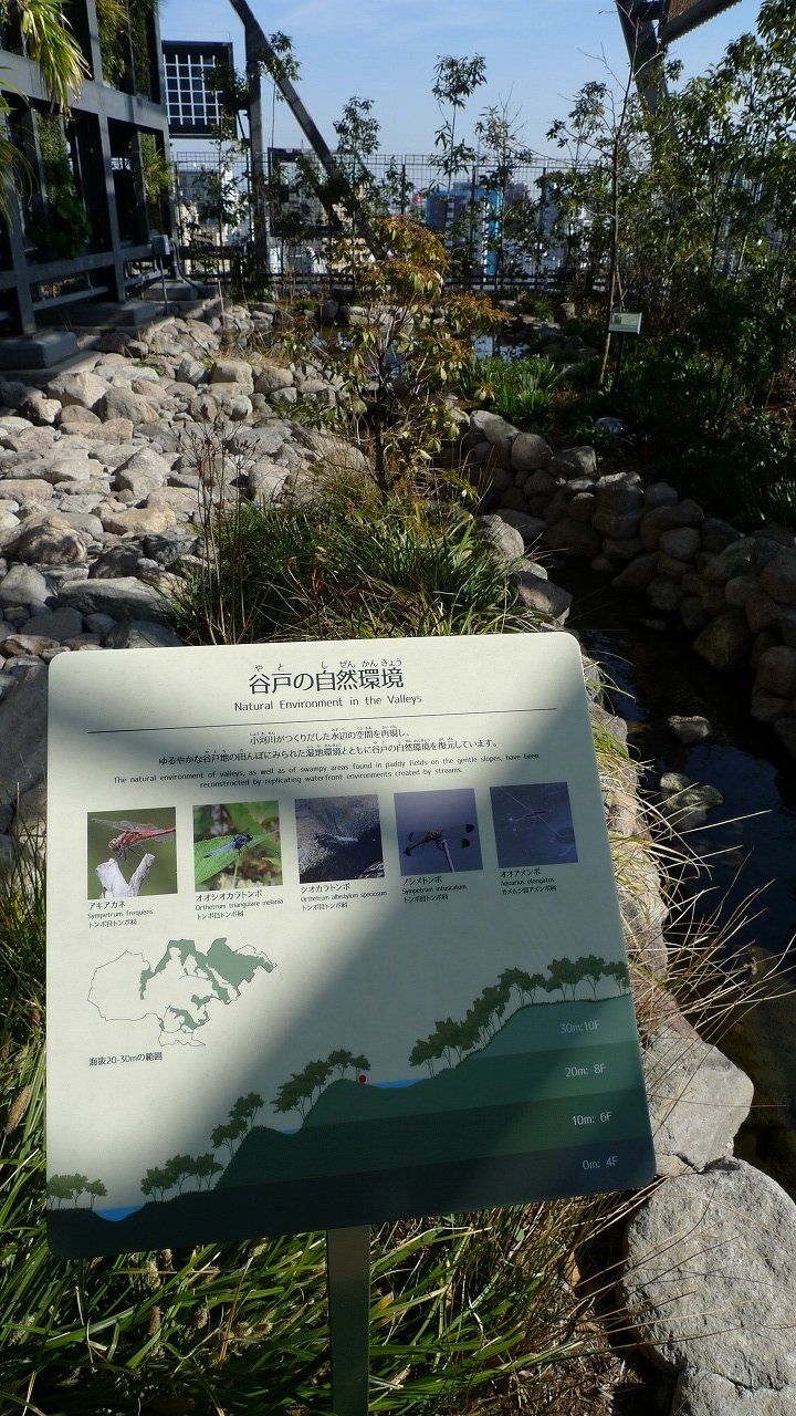 s-P1140308