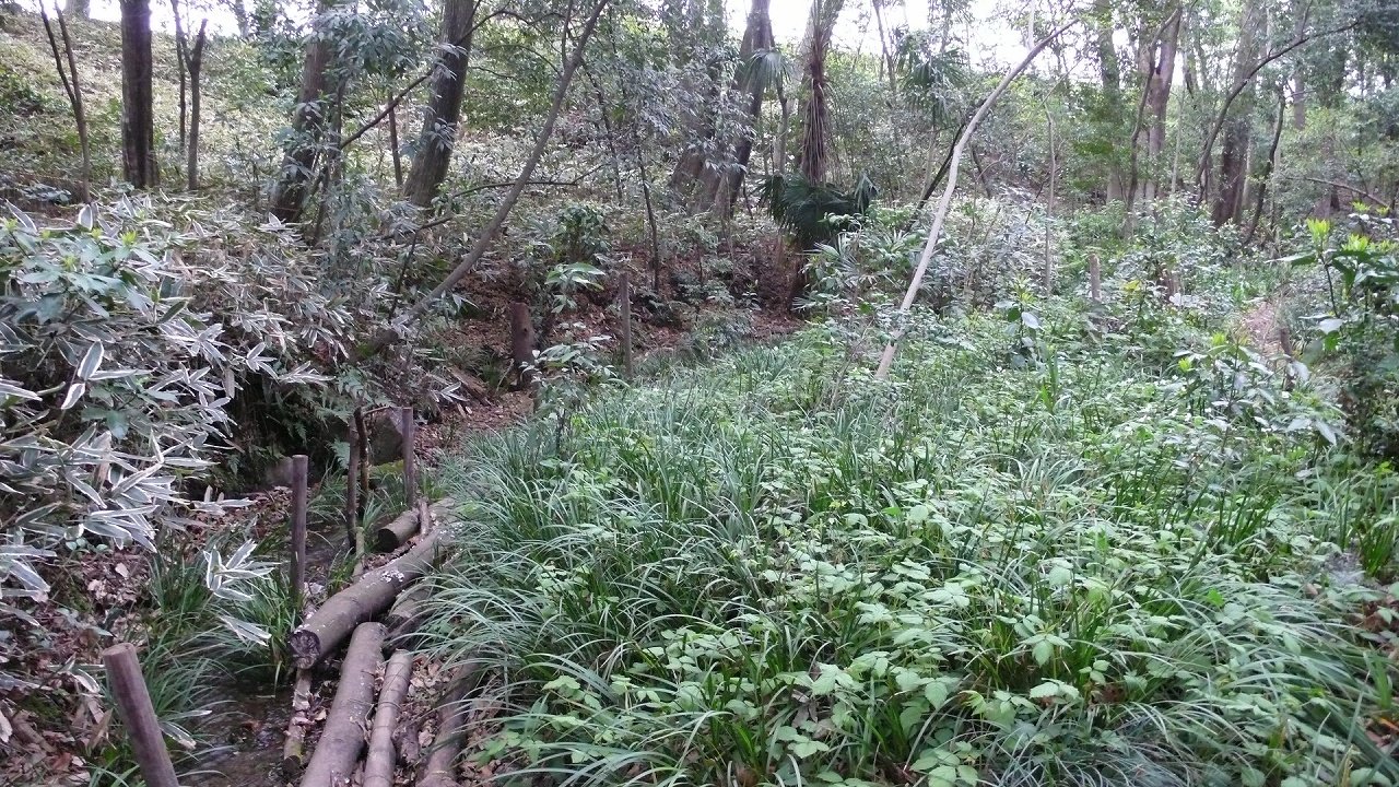s-P1620805