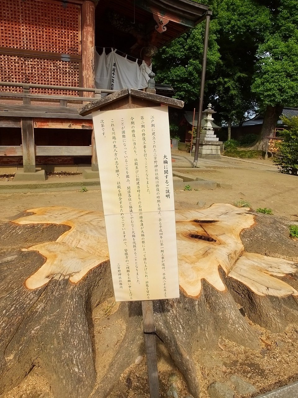 s-DSCF6707
