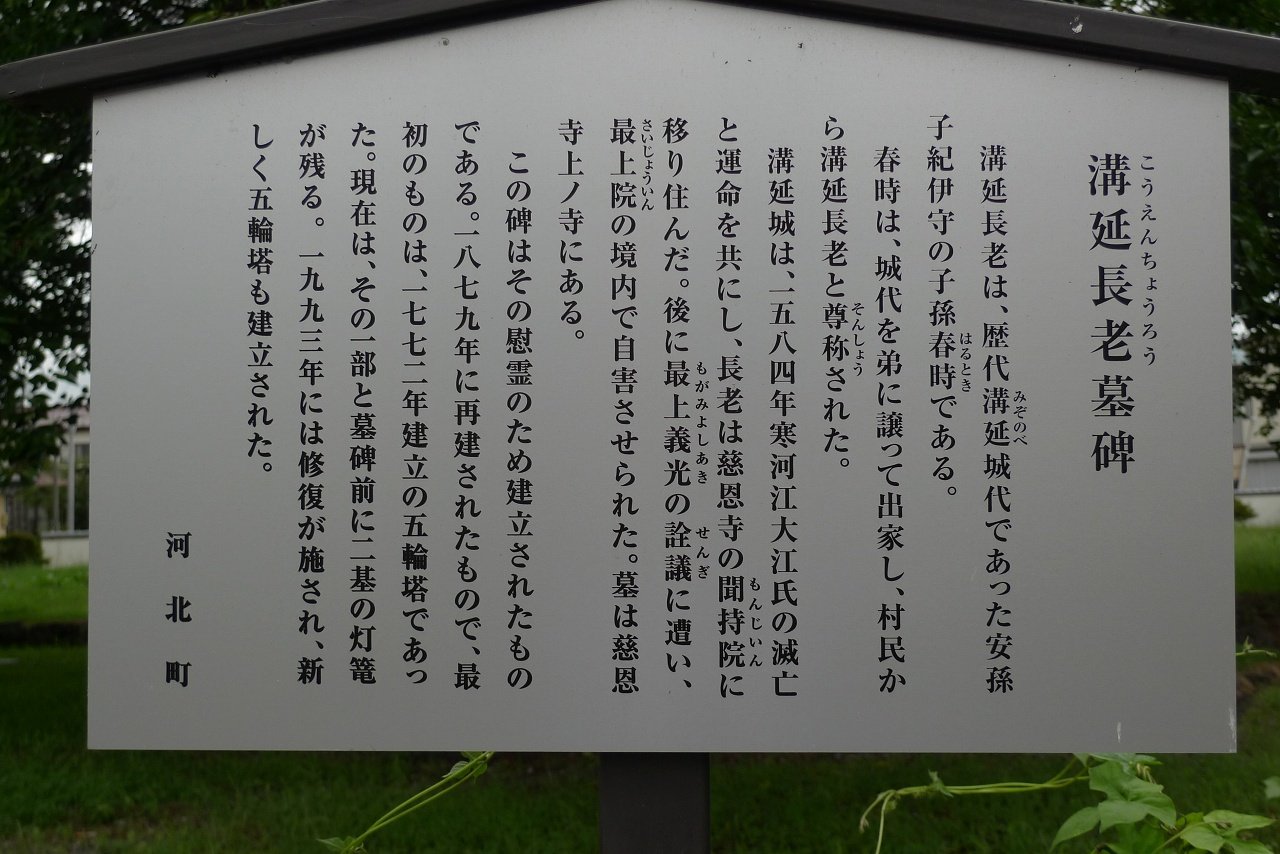 s-P1550266