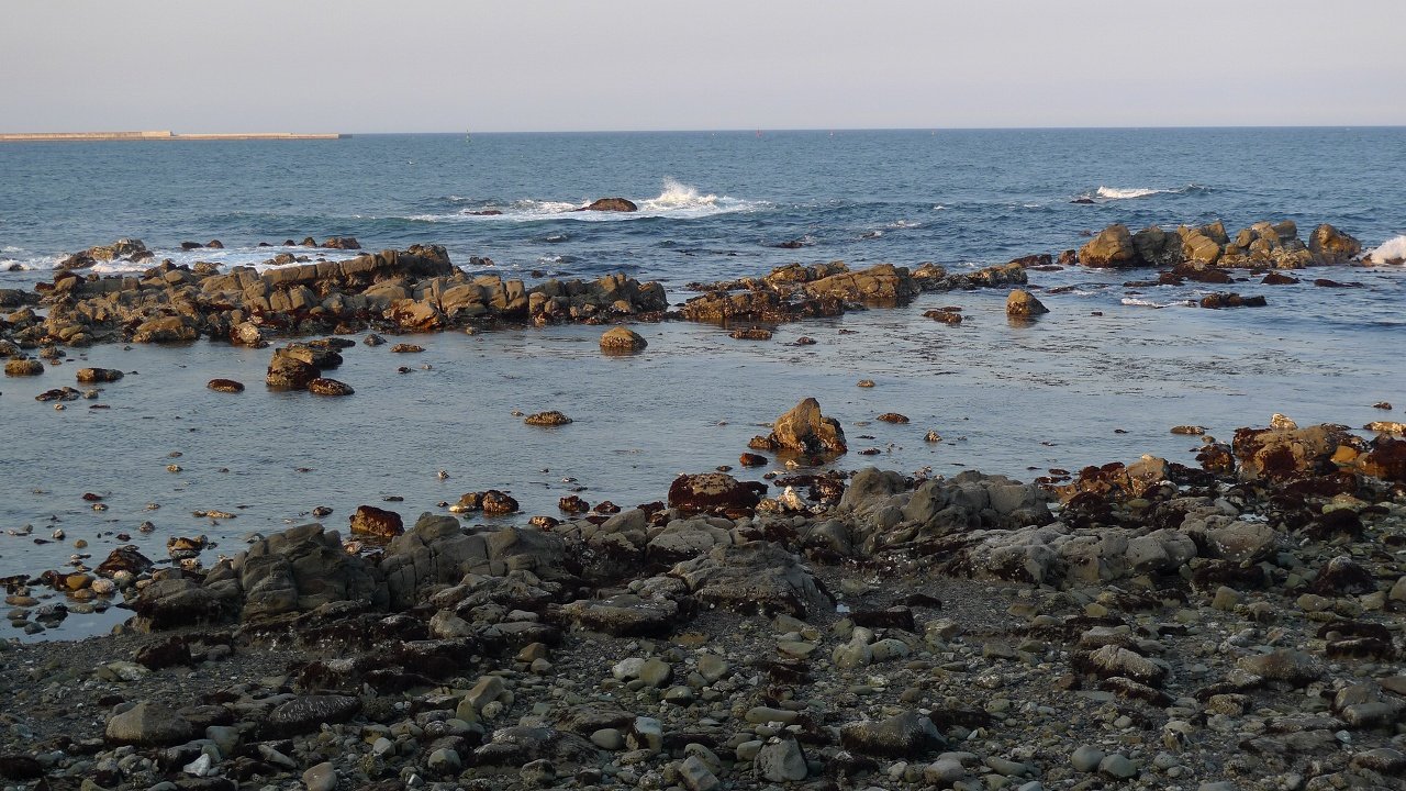s-P1350786
