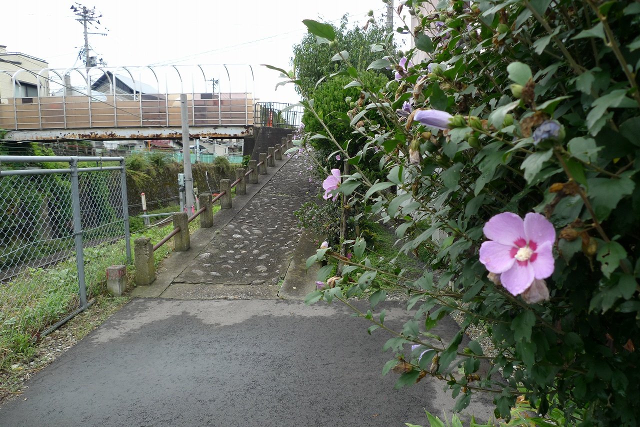 s-P1410887