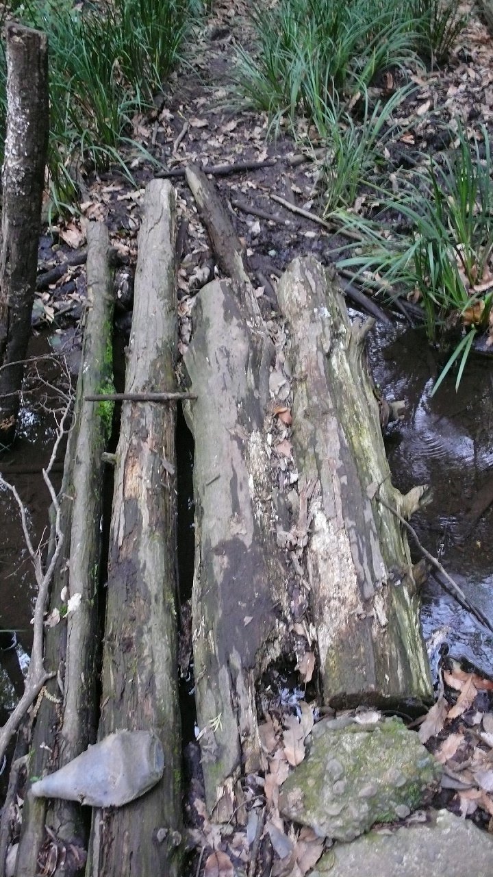 s-P1620819