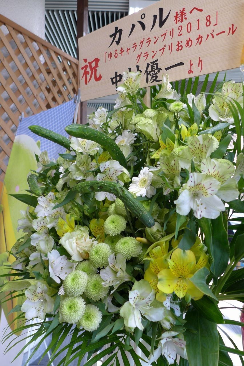 s-P1000524